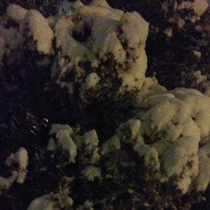 Meet your Posher, Leann